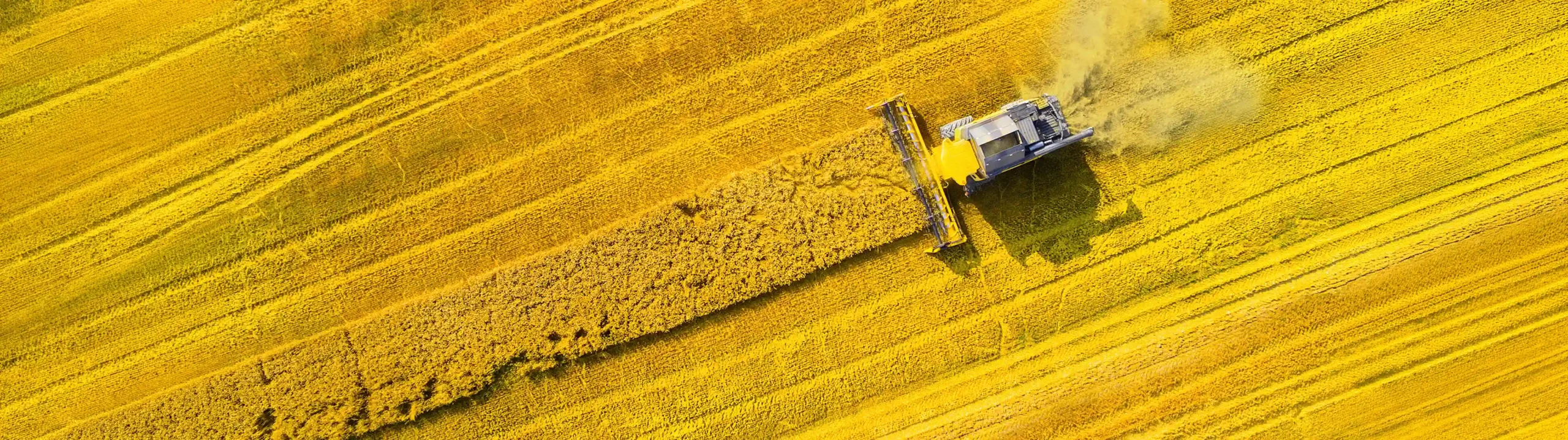 Markets Agriculture Header