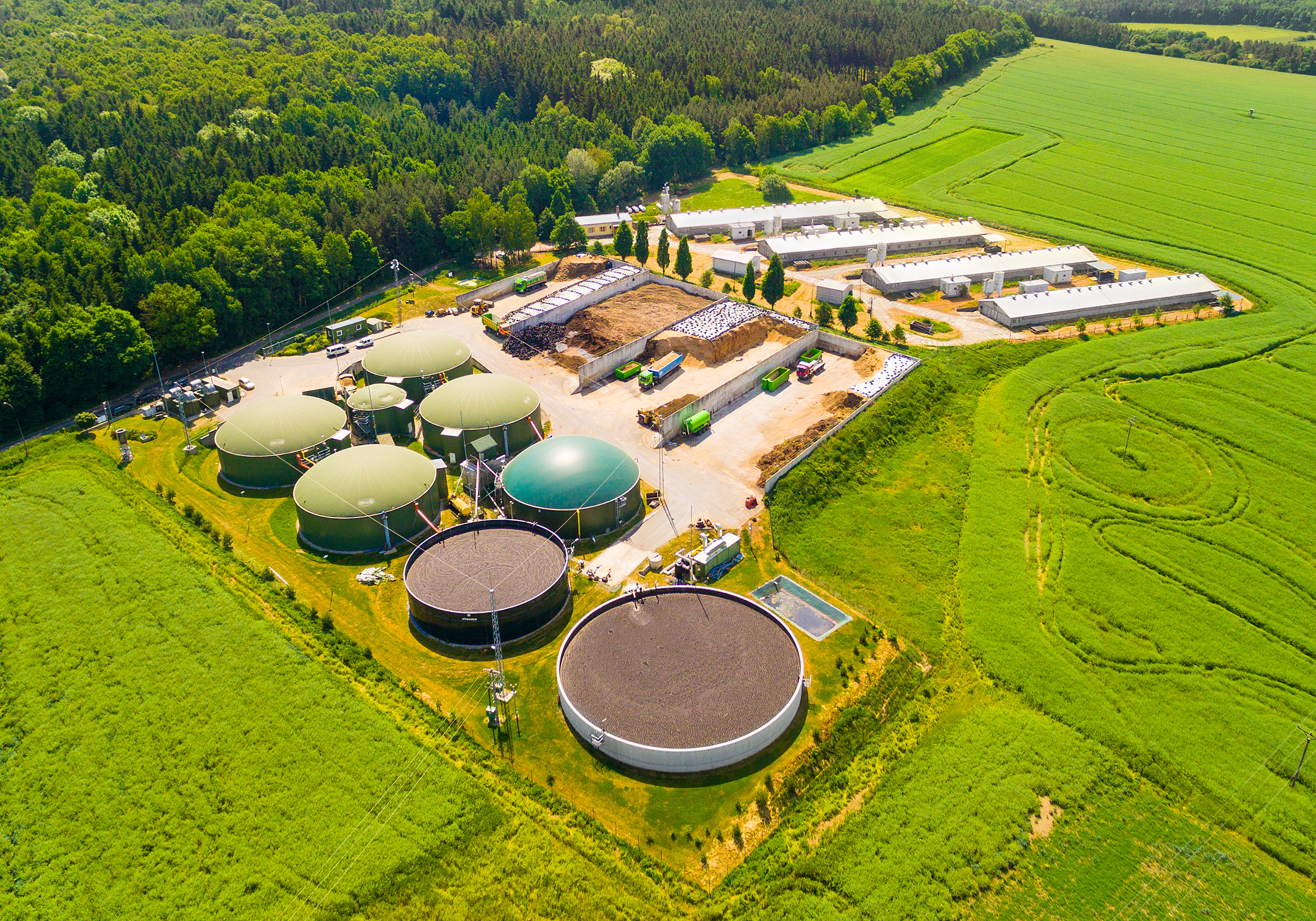 Europe’s biomethane market: 2026 outlook and the road ahead